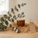 Dried Eucalyptus Stems - Natural Decoration Dried Eucalyptus Stems - Natural Decoration