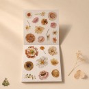 Blossom Season Autumn Colors and Flowers Sticker Book – PET and Washi Floral Stickers, approx. 120 pcs Blossom Season Autumn Colors and Flowers Sticker Book – PET and Washi Floral Stickers, approx. 120 pcs