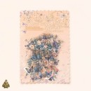 Butterfly Listening to the Wind PET Sticker Set – watercolor butterflies and flowers, 10 pcs