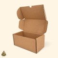 Kraft Corrugated Mailer Box – 200 x 100 x 100 mm Kraft Corrugated Mailer Box – 200 x 100 x 100 mm